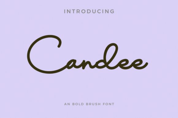 Candee Script Font: A Designer’s Take on Campaign Typography