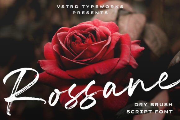 Rossane: A Dry Brush Script Font for Modern Web Design